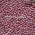 2015 Jilin Origin Four Red Skin Peanut Kernels